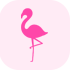 flamingo-1