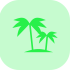 palmtrees