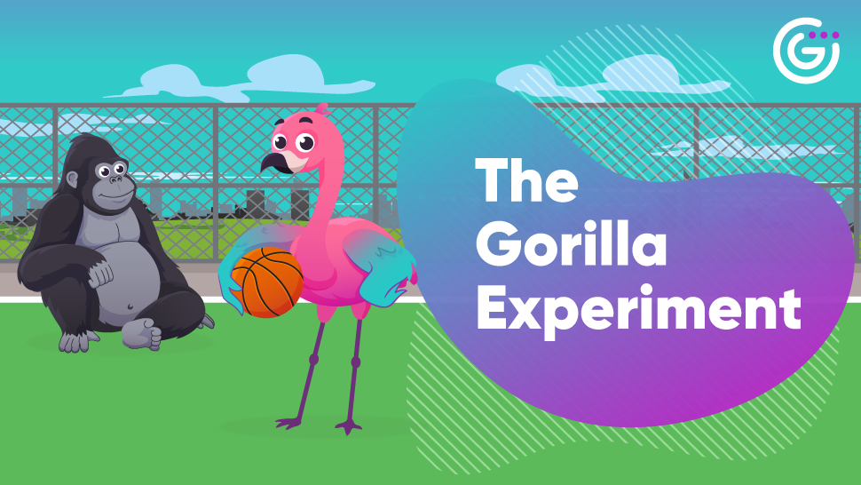 The Gorilla Experiment