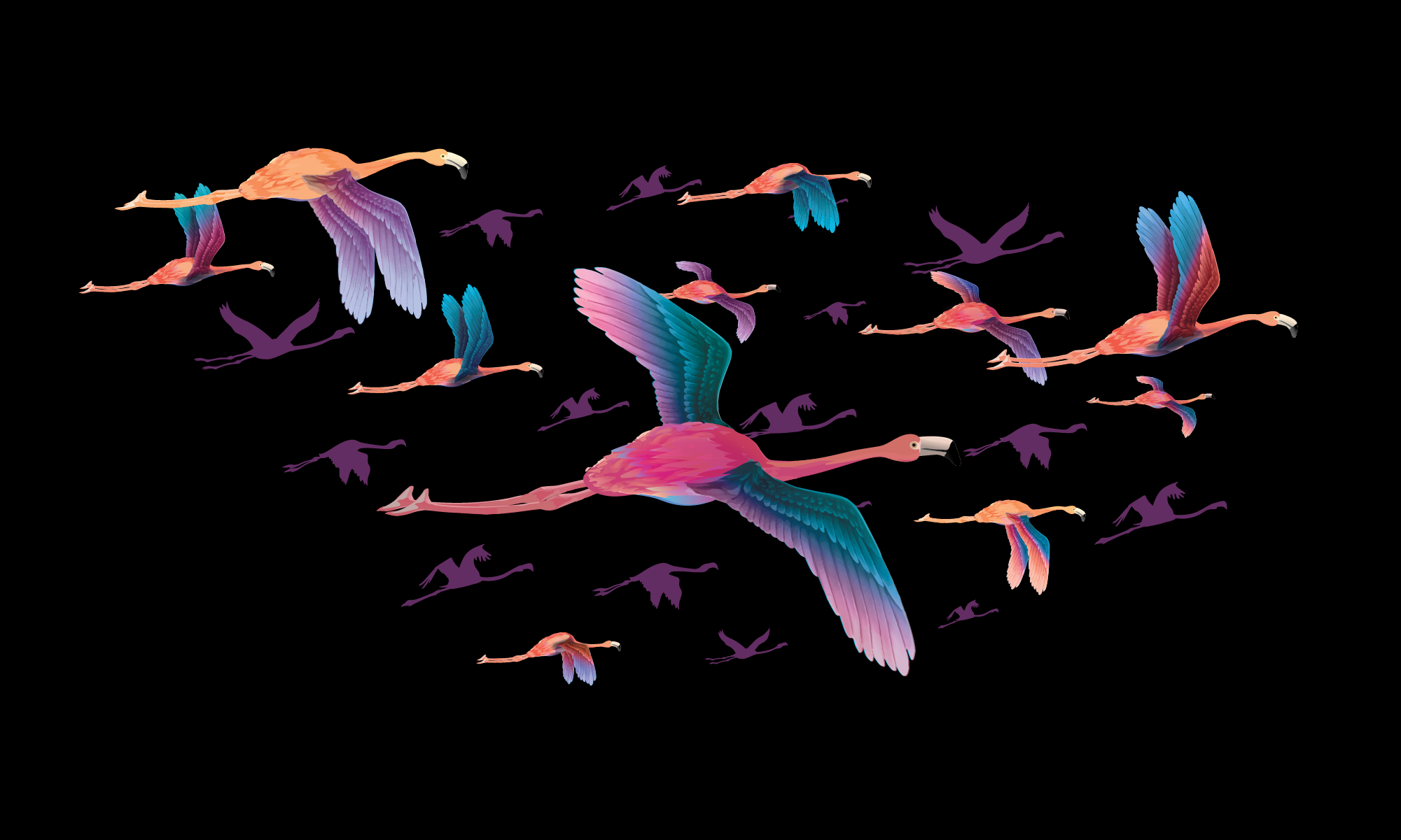 A flock of flamingos in flight