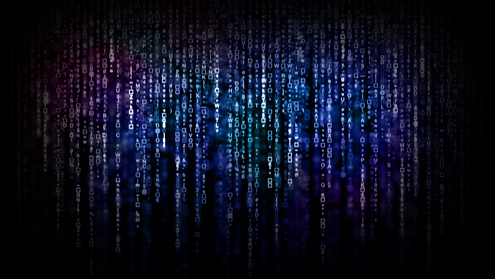 Data Equality: What You Need to Know