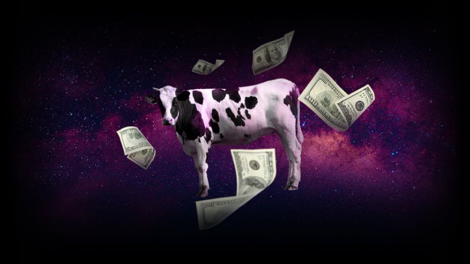 What Are Your Cash Cows?