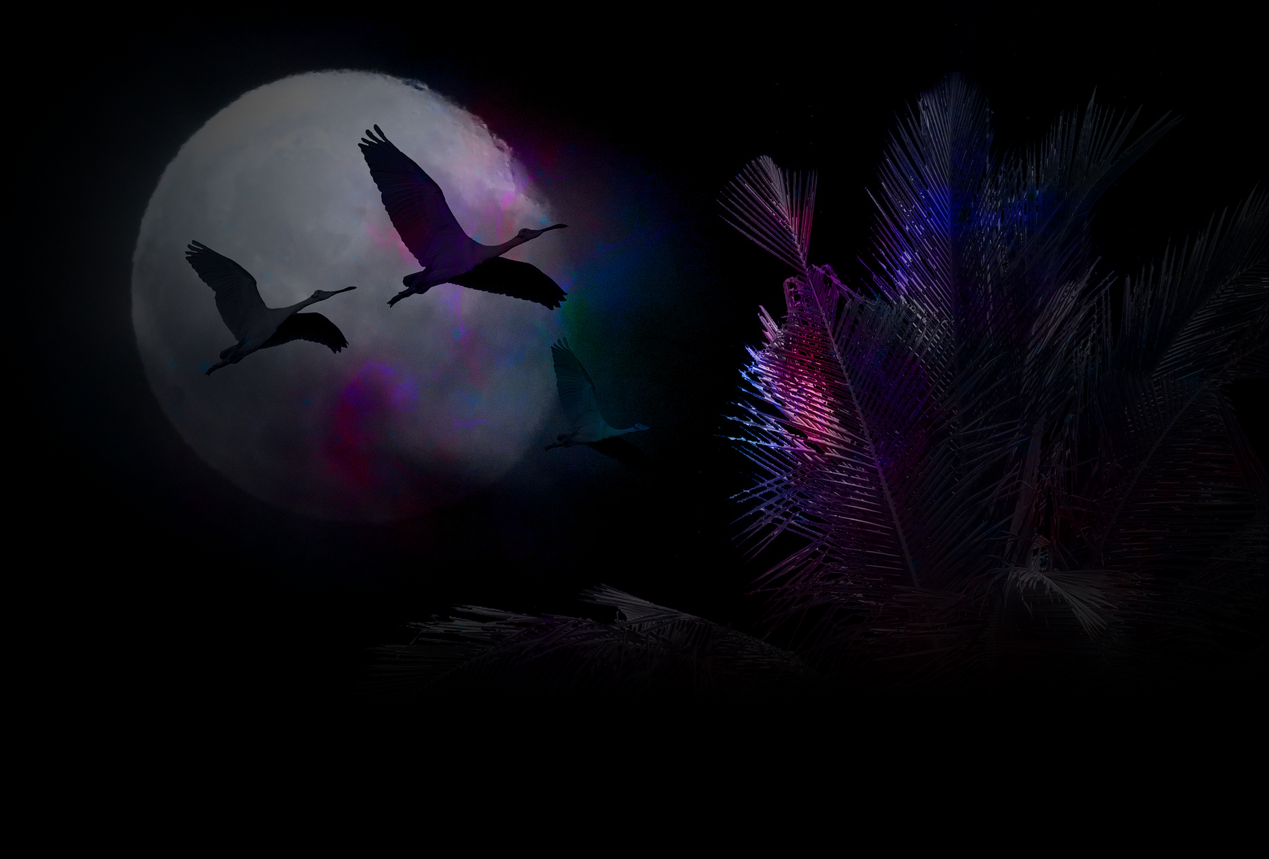Flamingos flying in front of the moon