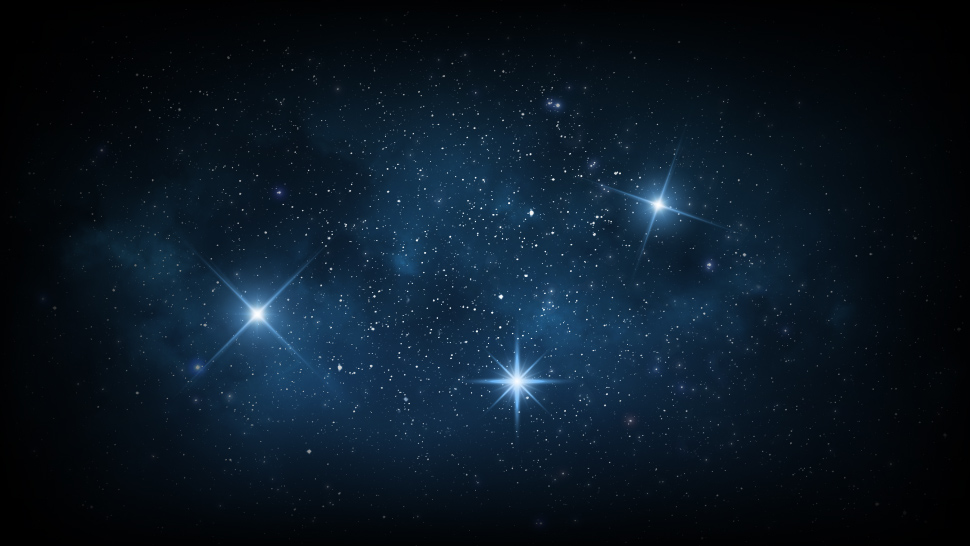 Meet Our New Flockstars