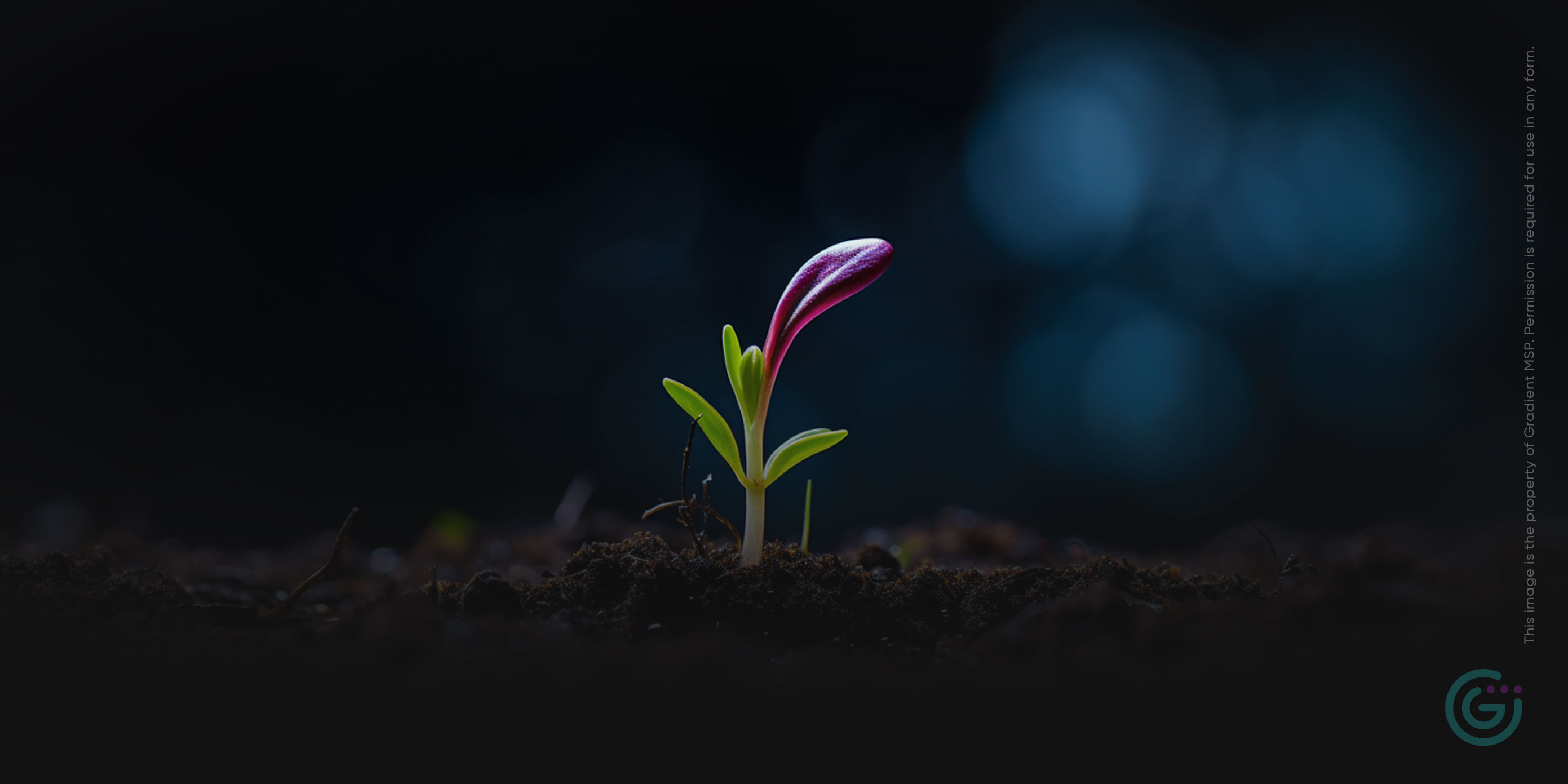 Cultivating Client Trust: Empathy in Action – The Key to Lasting MSP-Client Relationships