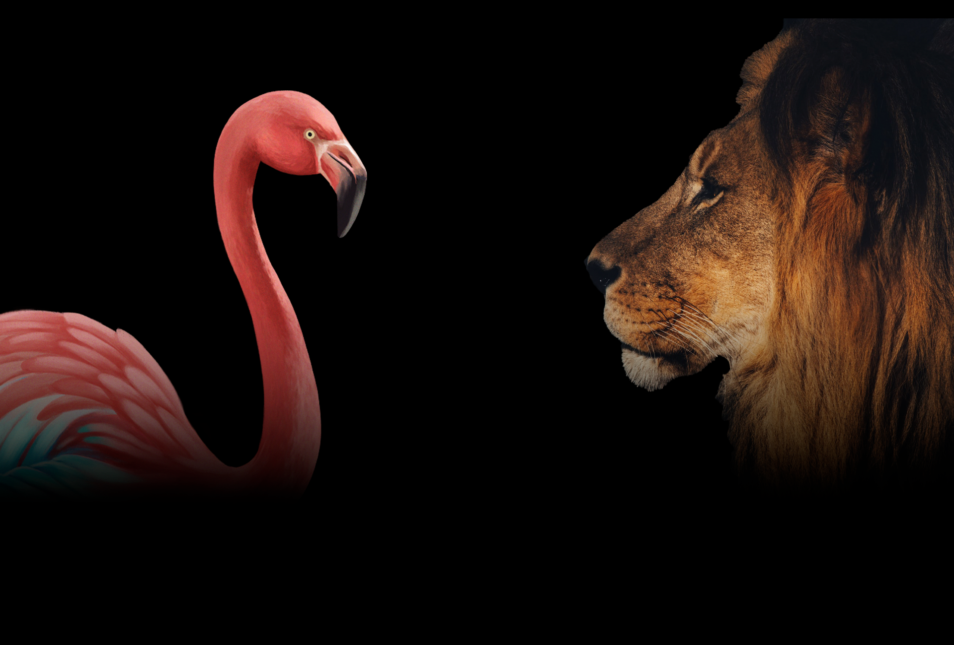 Gradient Phil the Flamingo and Liongard Lion