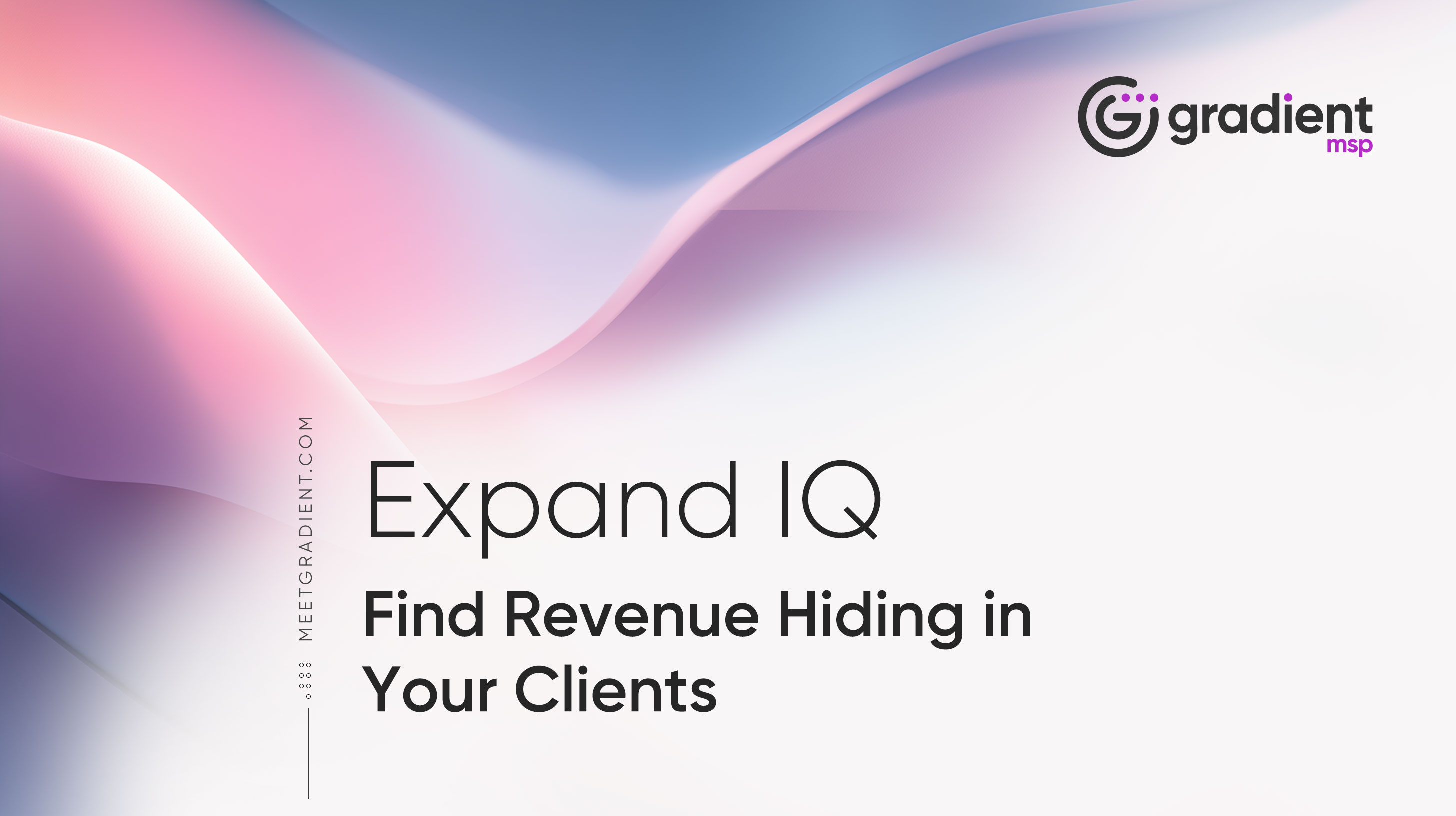 Expand IQ. Revenue expansion and analytics for MSPs