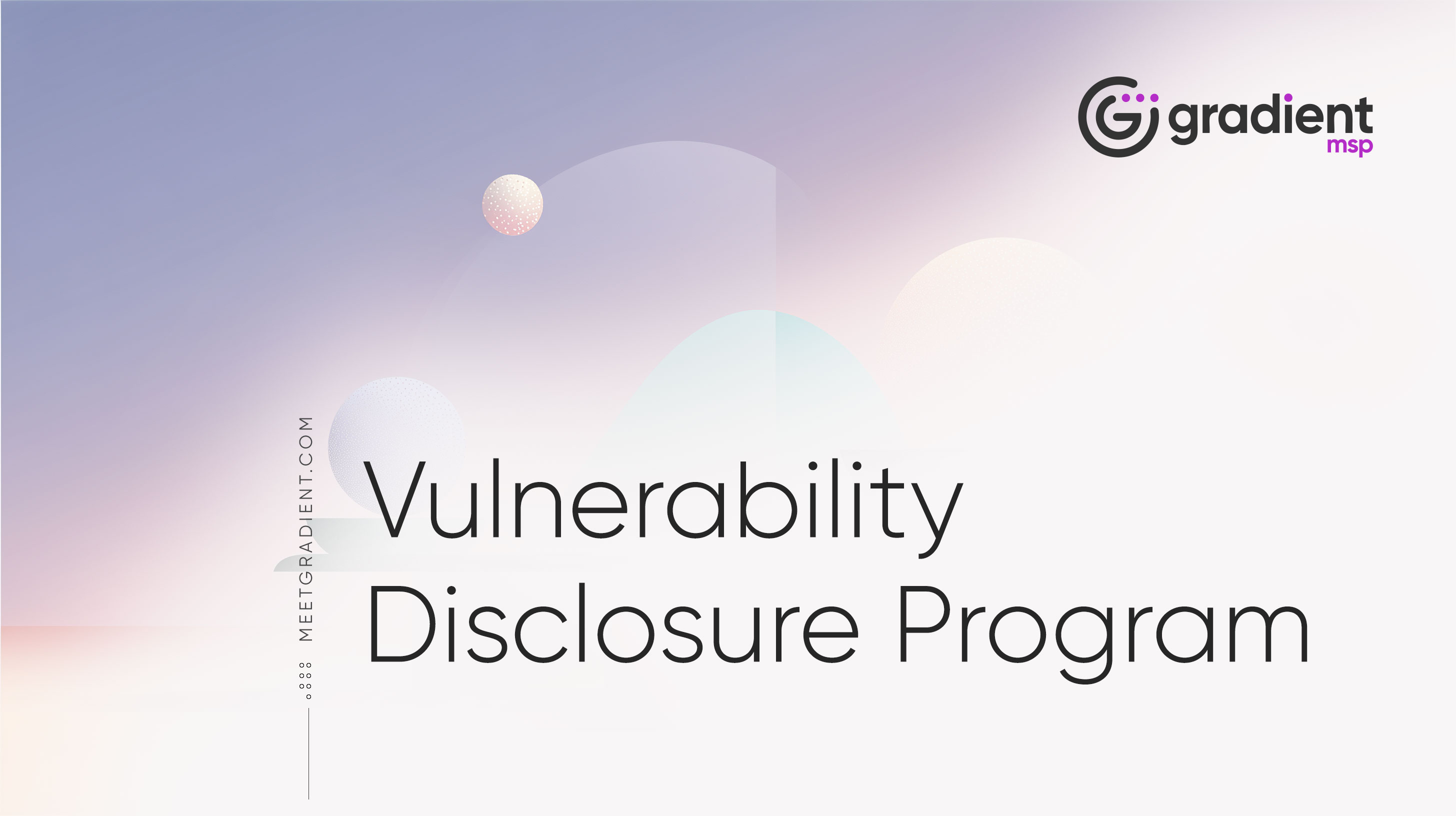 Vulnerability Disclosure Program