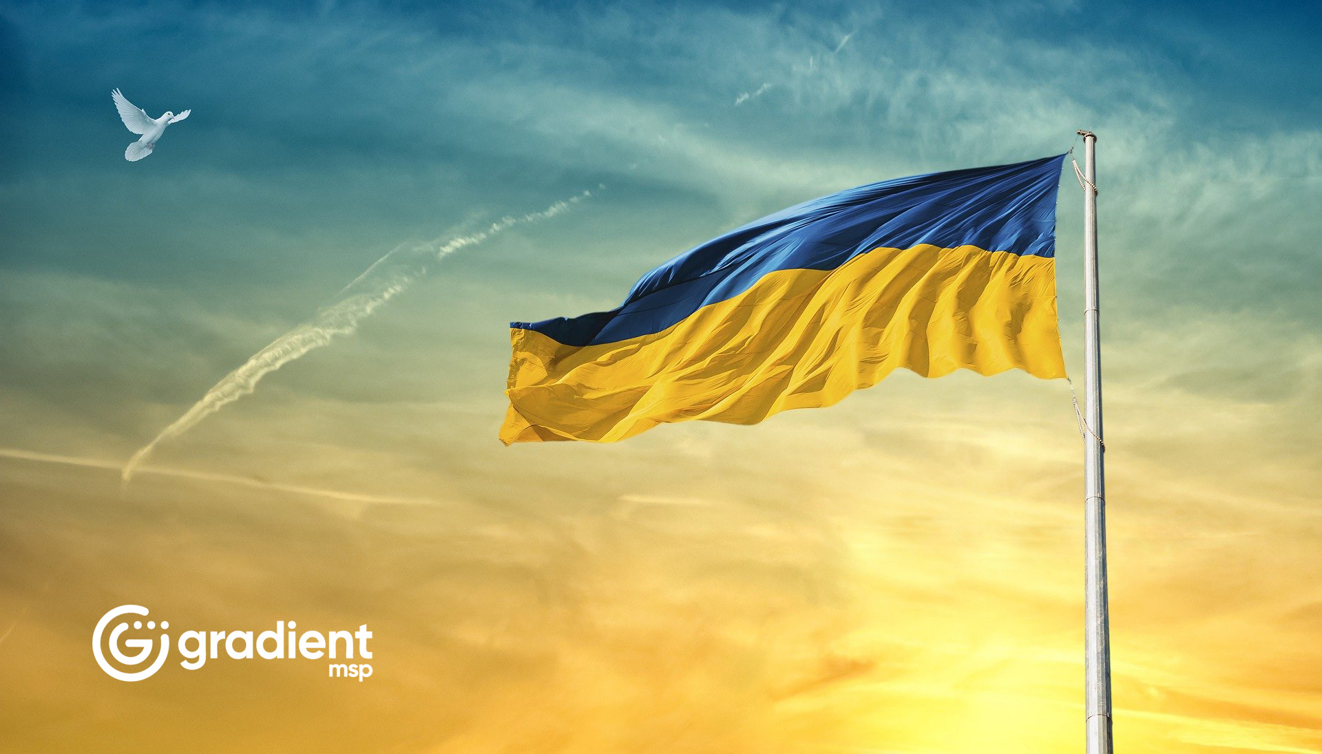 Ukrainian flag with a dove 